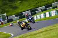 cadwell-no-limits-trackday;cadwell-park;cadwell-park-photographs;cadwell-trackday-photographs;enduro-digital-images;event-digital-images;eventdigitalimages;no-limits-trackdays;peter-wileman-photography;racing-digital-images;trackday-digital-images;trackday-photos